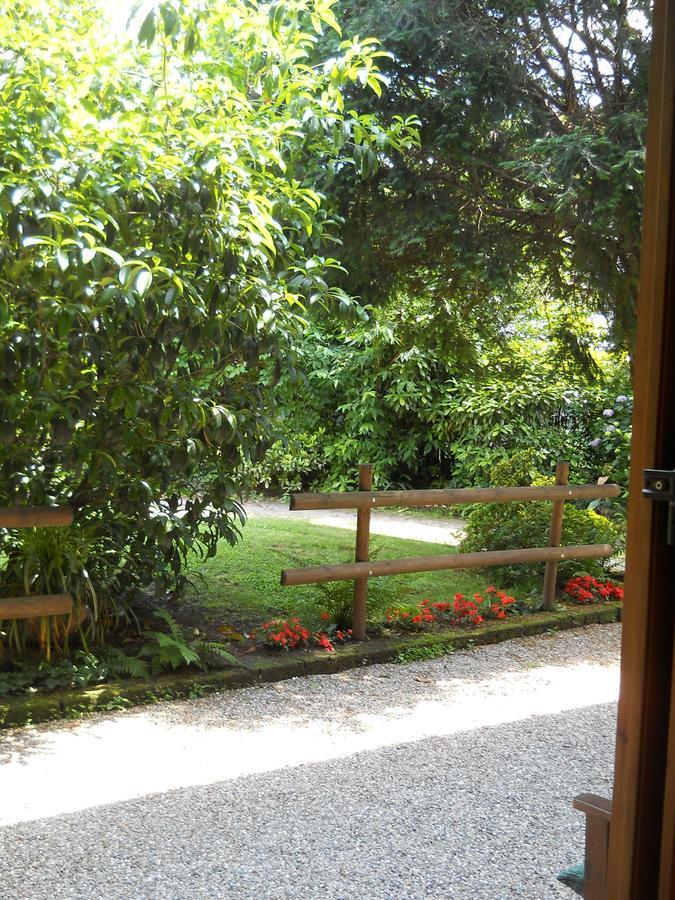 B&B Il Cortile Malpensa Касорате-Семпьоне Экстерьер фото